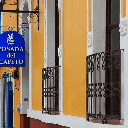 Posada Del Cafeto Τζαλάπα Εξωτερικό φωτογραφία