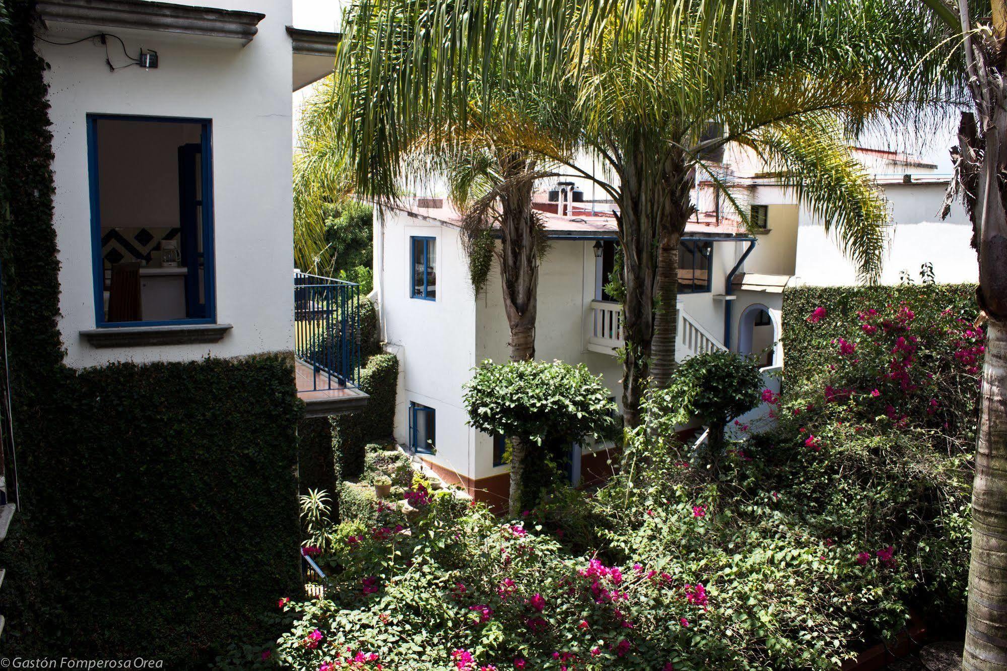 Posada Del Cafeto Τζαλάπα Εξωτερικό φωτογραφία